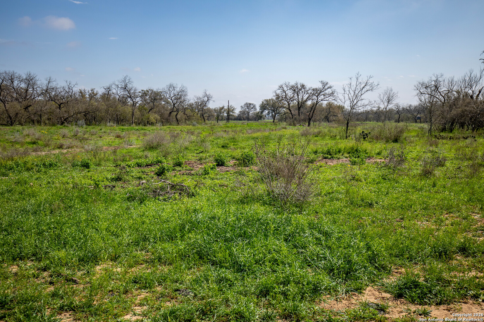 0 Felix Road St. Hedwig, TX 78152 - Photo 39 of 41 a view of a large green field with lots of bushes