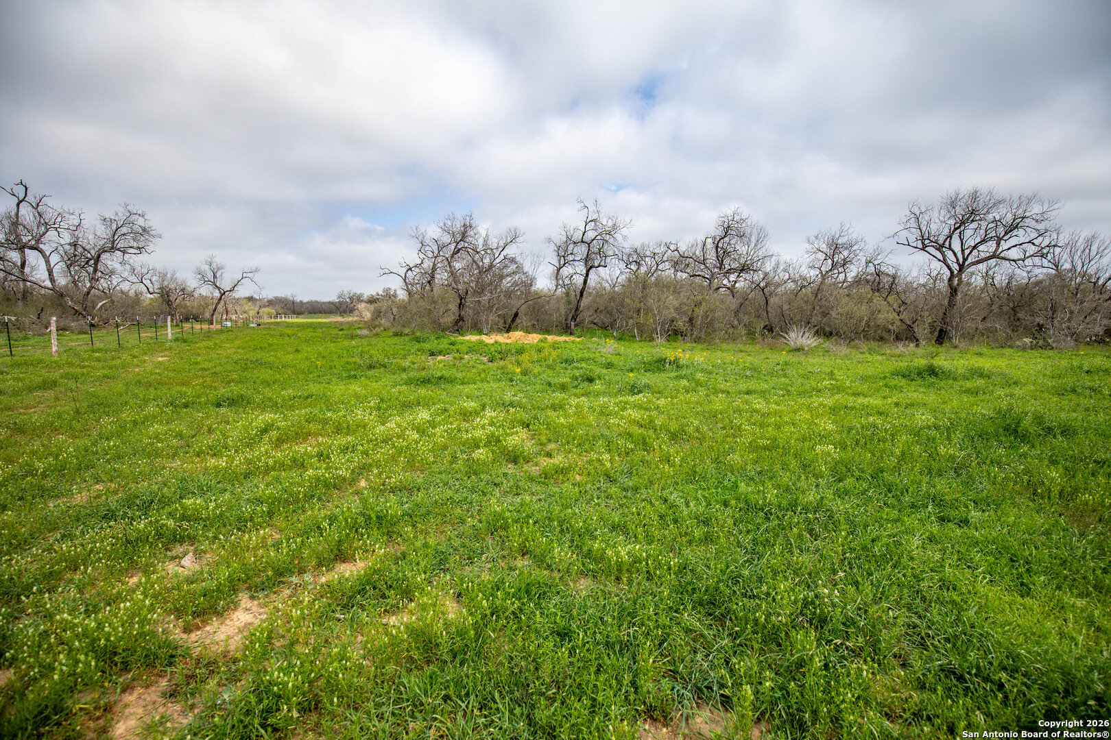 0 Felix Road St. Hedwig, TX 78152 - Photo 8 of 41 a view of a field of grass and trees