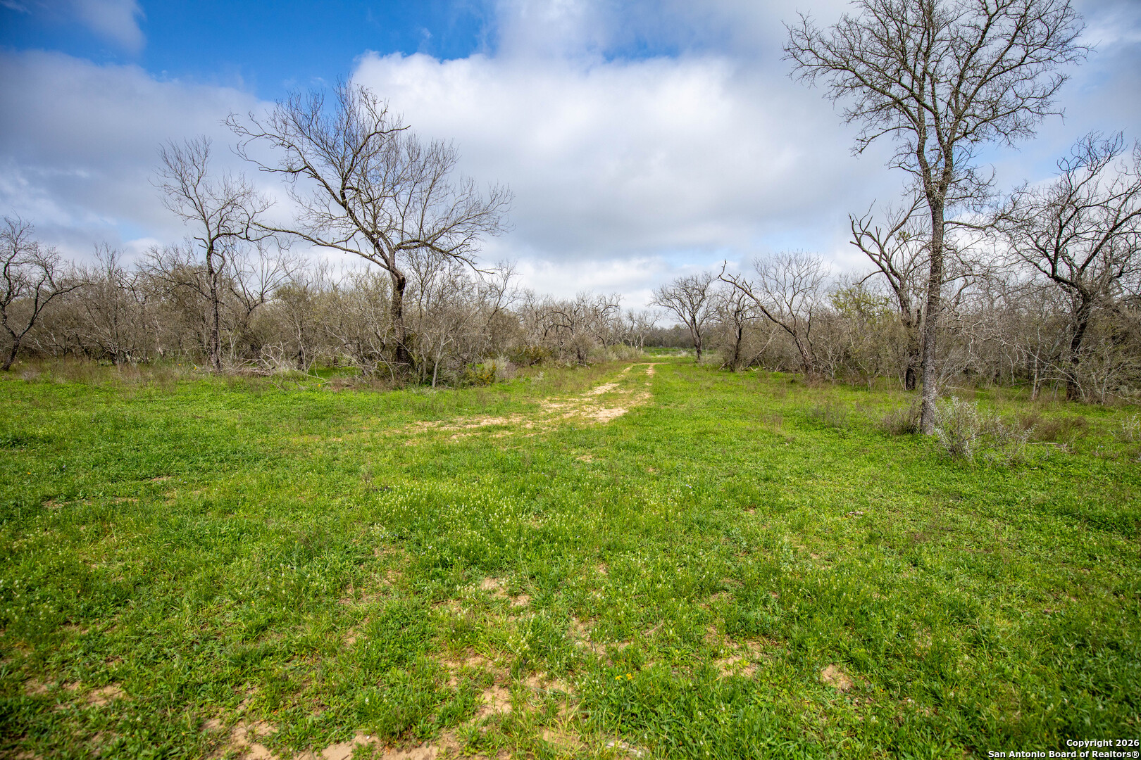 0 Felix Road St. Hedwig, TX 78152 - Photo 10 of 41