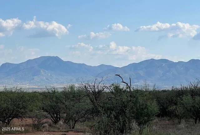 a view of a bunch of trees in a field