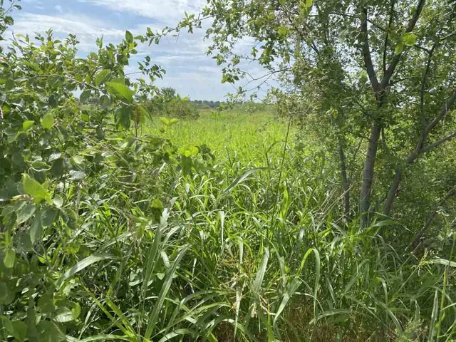 $300,000 | 2121 North A Street, Wellington, KS 67152