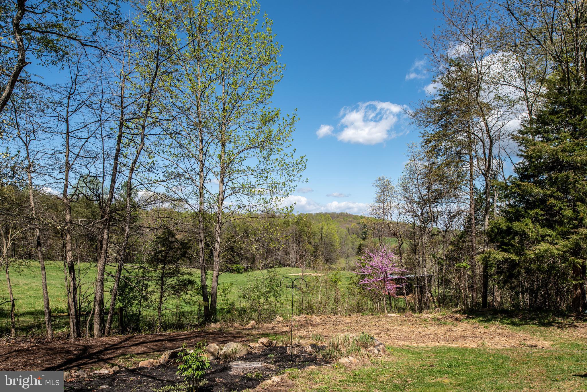 4 Castle Mountain Road Castleton, VA 22716 - Photo 12 of 35 Gorgeous Pastoral Views from the Deck