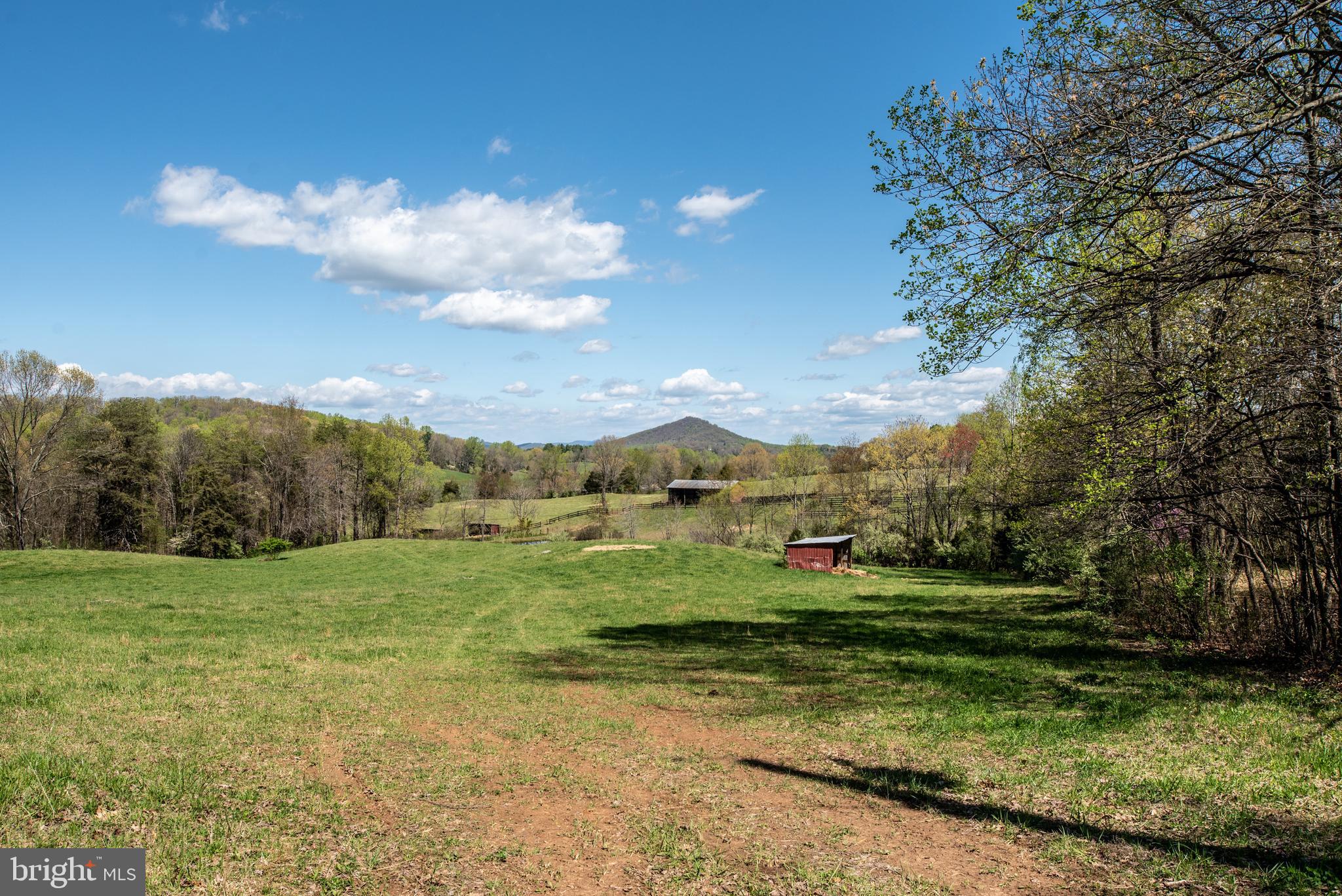 4 Castle Mountain Road Castleton, VA 22716 - Photo 13 of 35 Backs to Neighboring Working Farm