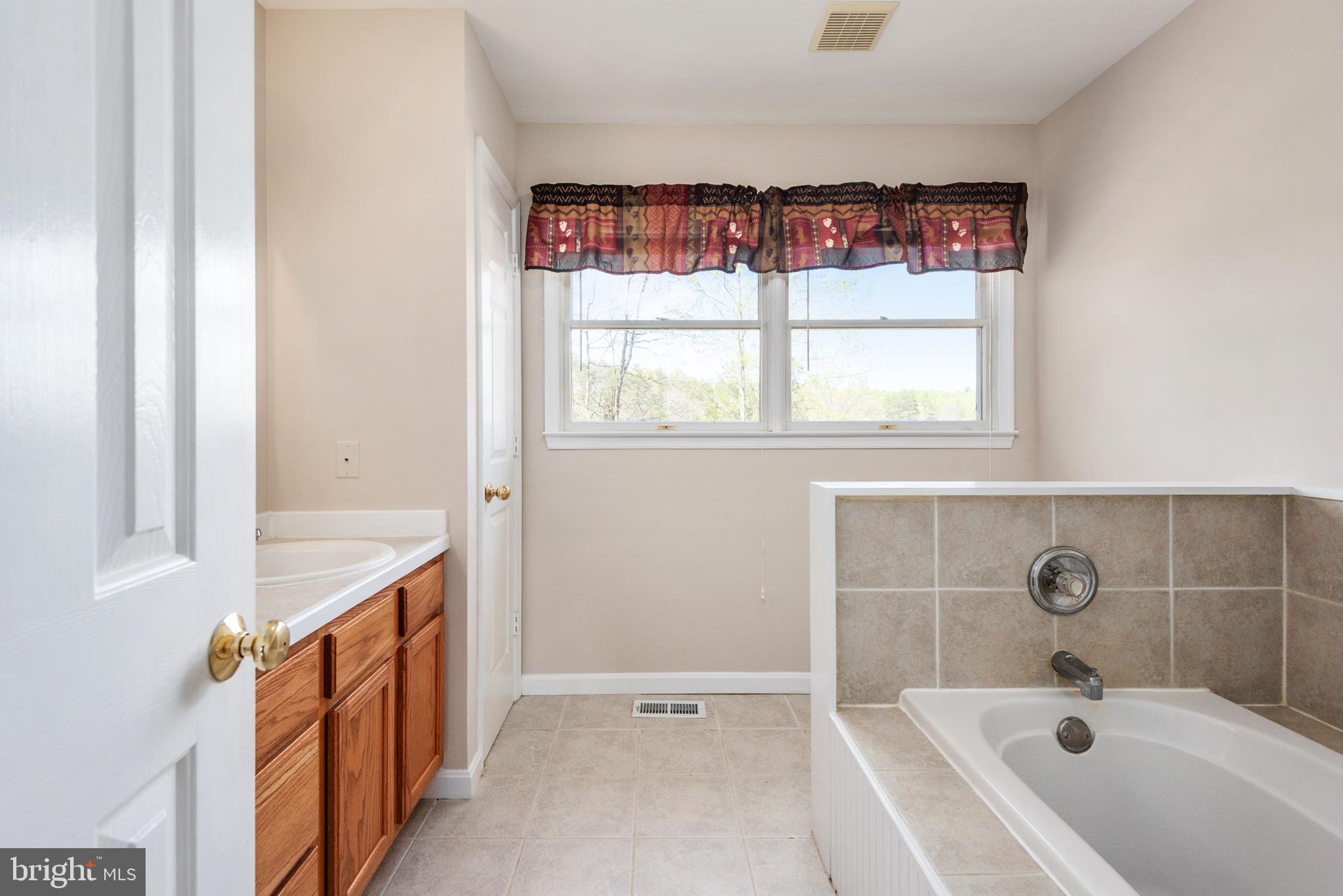 4 Castle Mountain Road Castleton, VA 22716 - Photo 30 of 35 Master Bath Features Tile & Soaking Tub