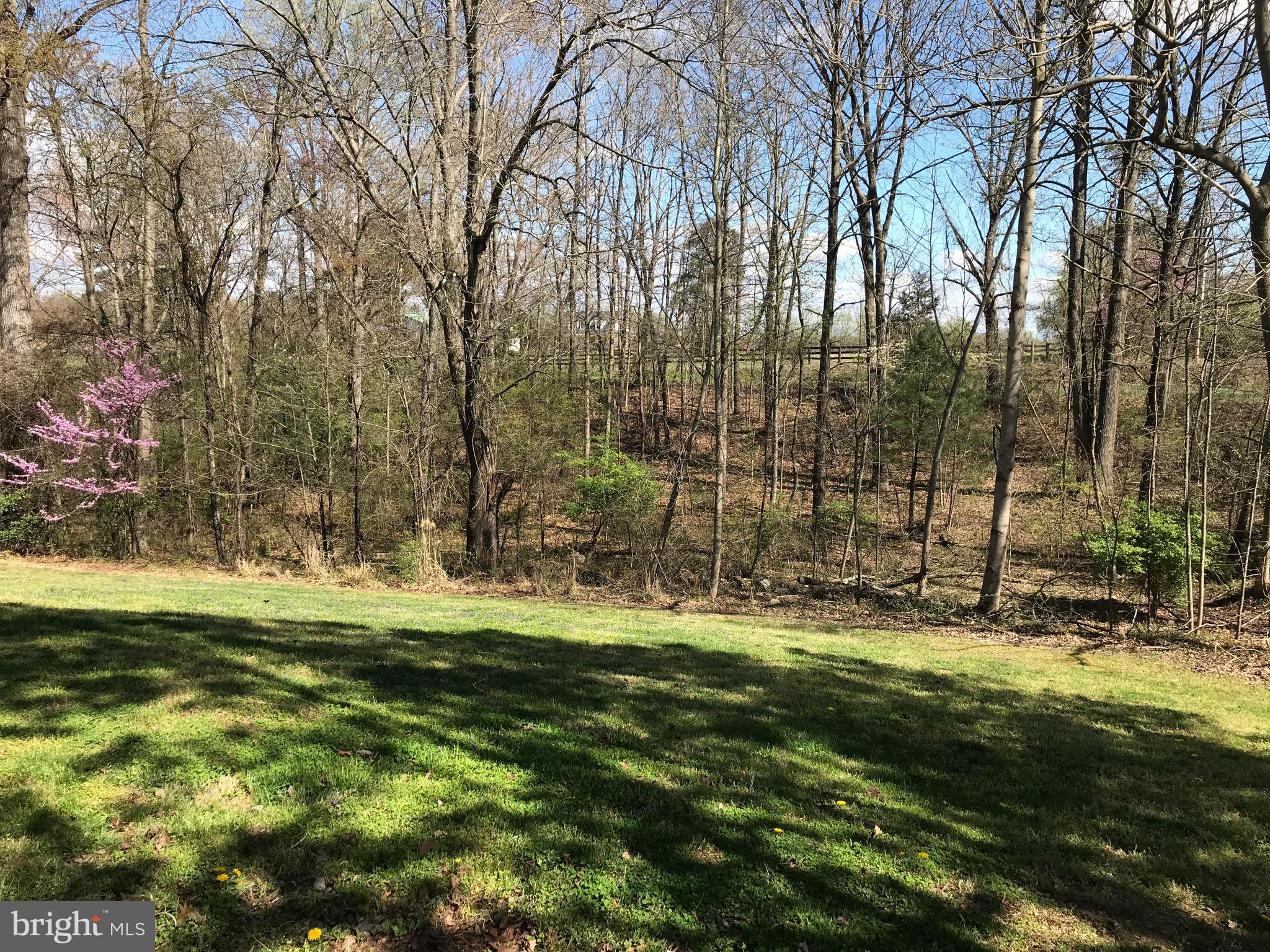 4 Castle Mountain Road Castleton, VA 22716 - Photo 7 of 35 Large Front Yard