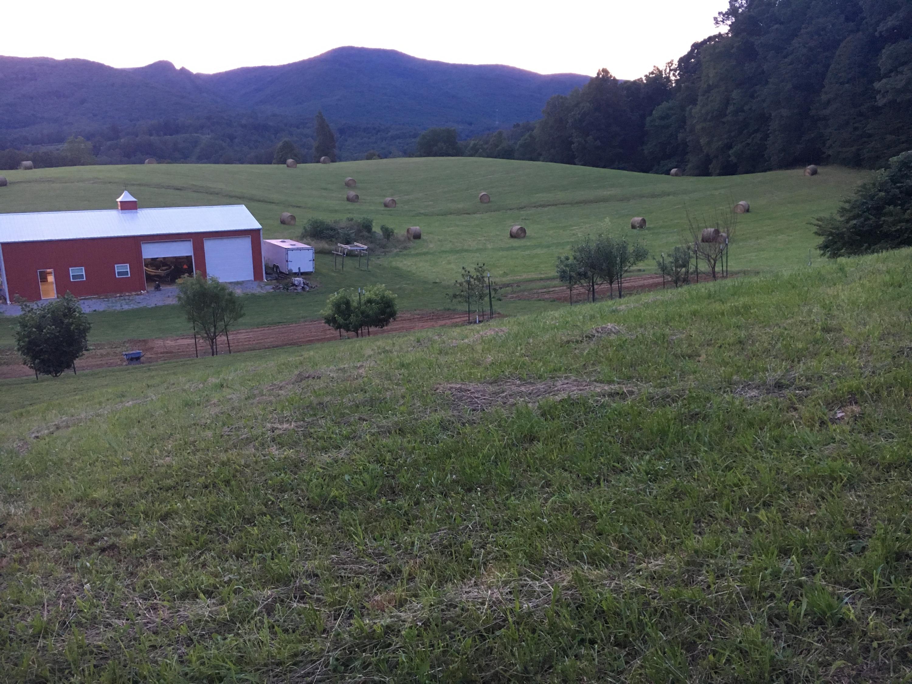 223 Hardin Hollow Road Elizabethton, TN 37643 - Photo 13 of 29 Hardin Field3