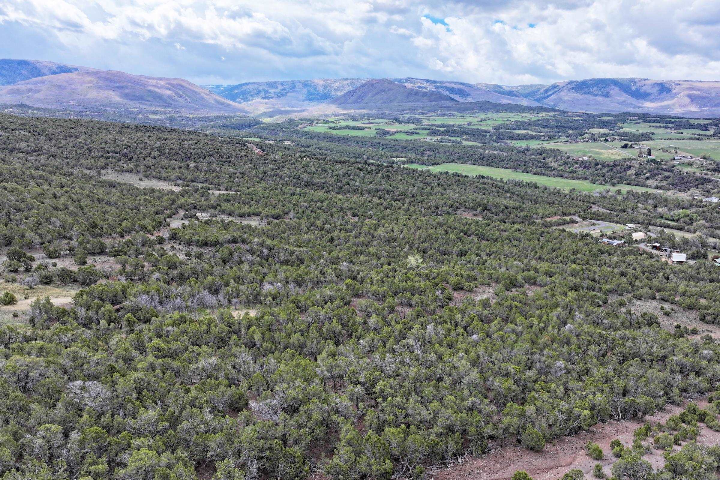 12705 55 Road Collbran, CO 81624 - Photo 27 of 31 a view of a lush green field