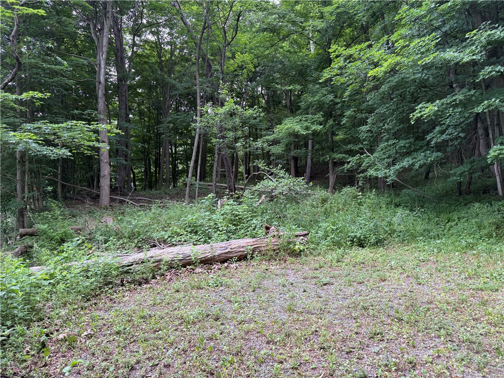 1592 Emerson Road Potter, NY 14507 - Photo 2 of 25