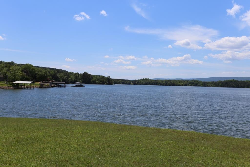 0 Blue Heron Lane Spring City, TN 37381 - Photo 21 of 32 Gallery Image 21