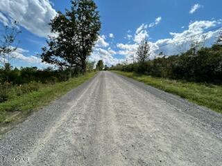 Lot D Spruce Lake Road Thompson, PA 18465 - Photo 19 of 19