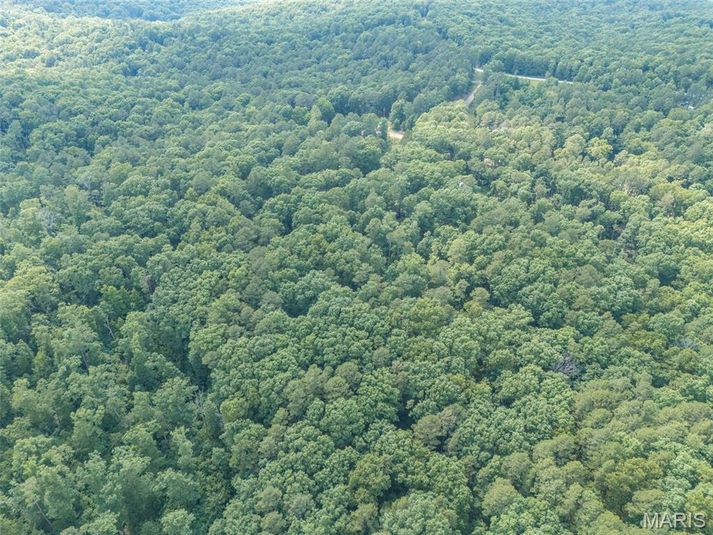10130 Fish Hook Road Potosi, MO 63664 - Photo 16 of 29