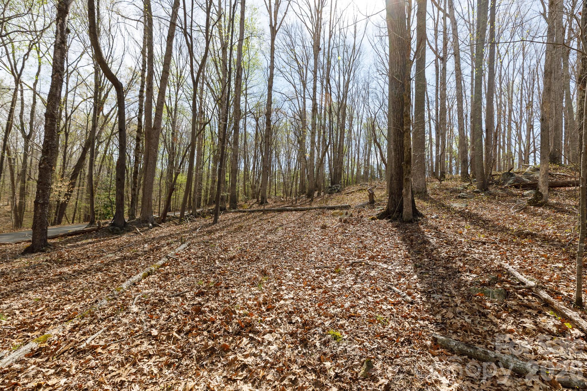 1108 State Rd S-46-996 York, SC 29745 - Photo 46 of 48