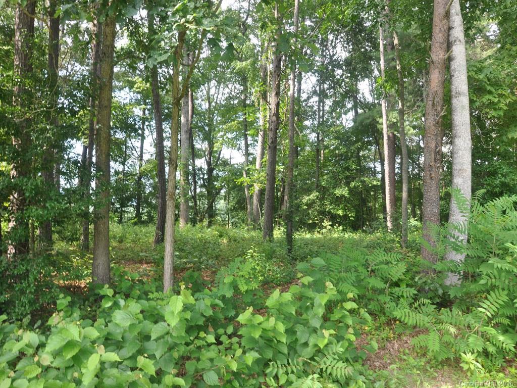 Lot 29 Jake Ridge Trail, Unit 29 Fletcher, NC 28732 - Photo 1 of 14 Gallery Image 1