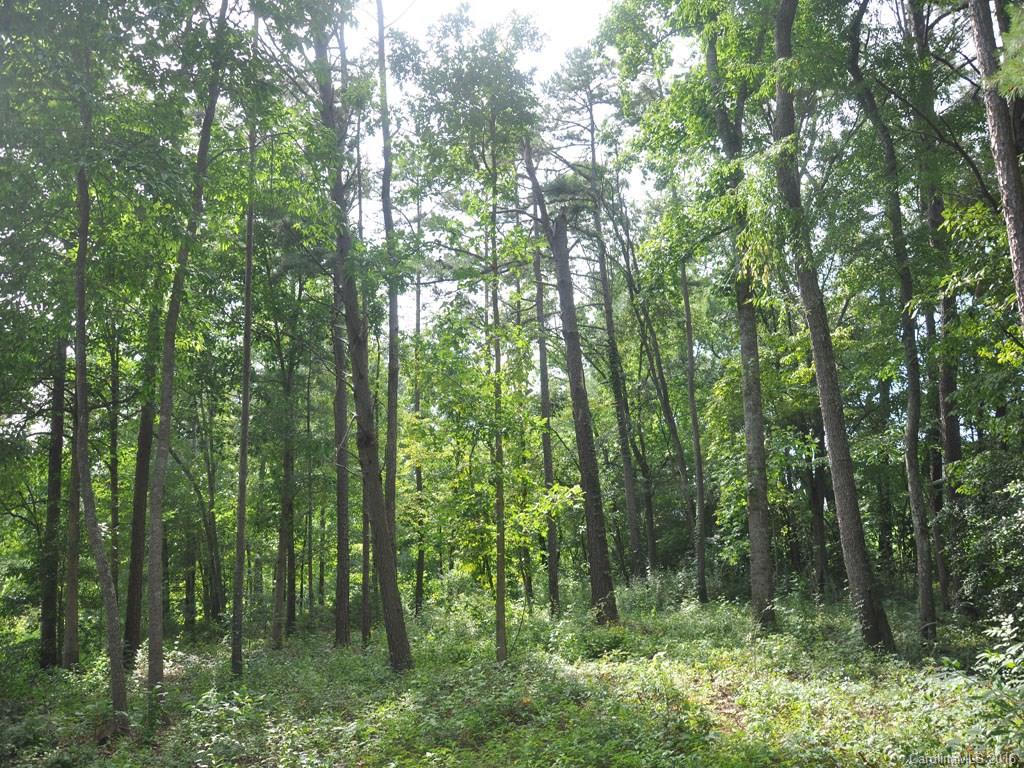 Lot 29 Jake Ridge Trail, Unit 29 Fletcher, NC 28732 - Photo 2 of 14 Gallery Image 2