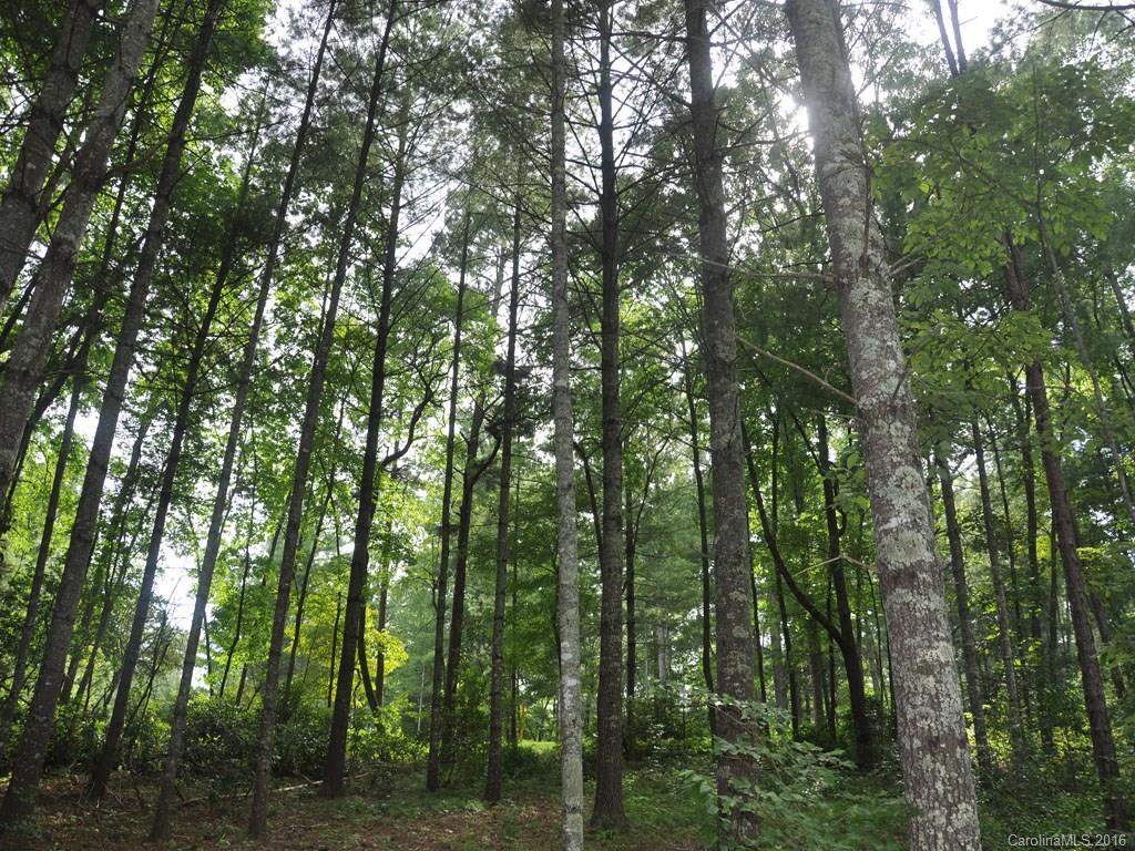 Lot 29 Jake Ridge Trail, Unit 29 Fletcher, NC 28732 - Photo 13 of 14 Gallery Image 13