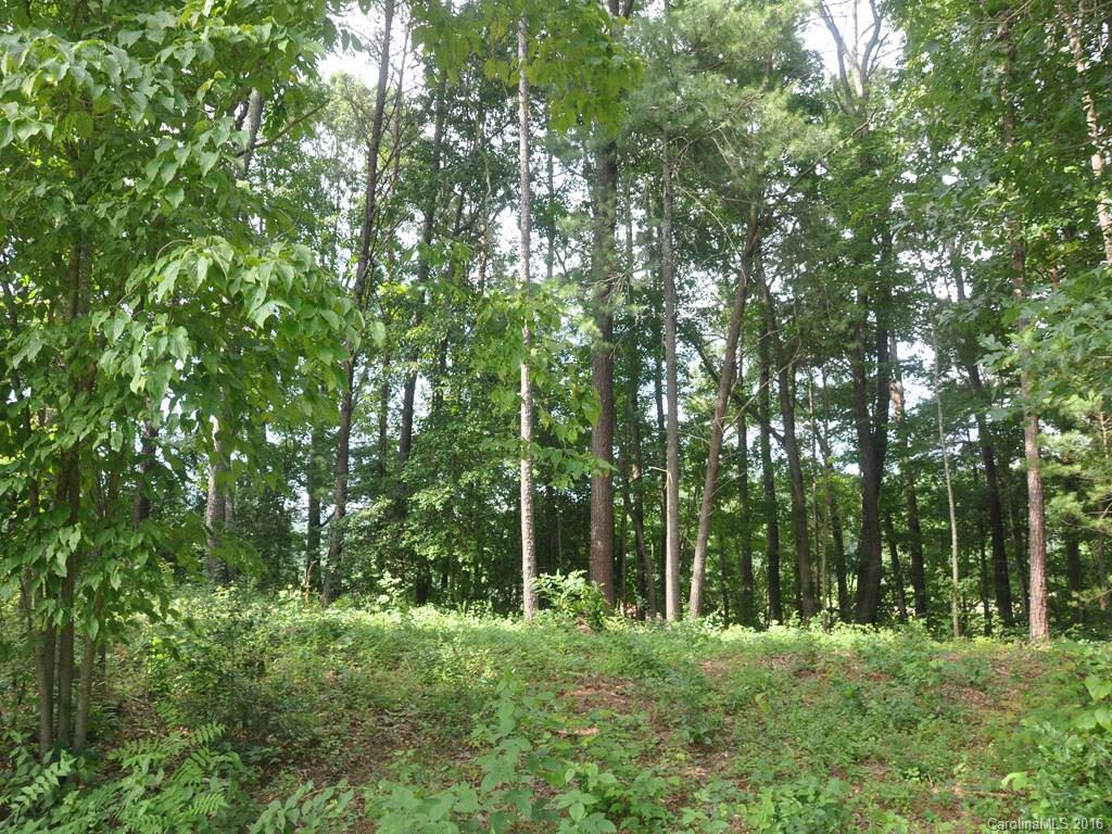 Lot 29 Jake Ridge Trail, Unit 29 Fletcher, NC 28732 - Photo 3 of 14 Gallery Image 3