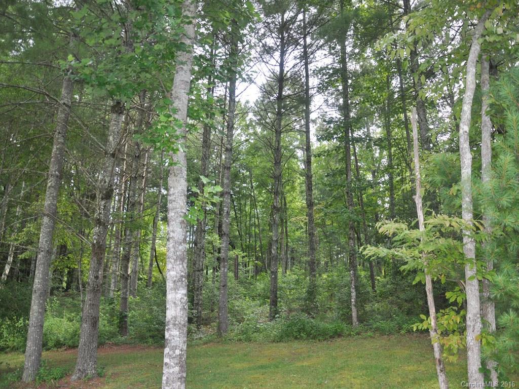 Lot 29 Jake Ridge Trail, Unit 29 Fletcher, NC 28732 - Photo 4 of 14 Gallery Image 4