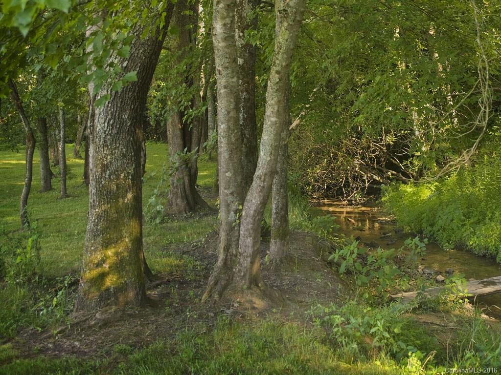 Lot 29 Jake Ridge Trail, Unit 29 Fletcher, NC 28732 - Photo 10 of 14 Gallery Image 10