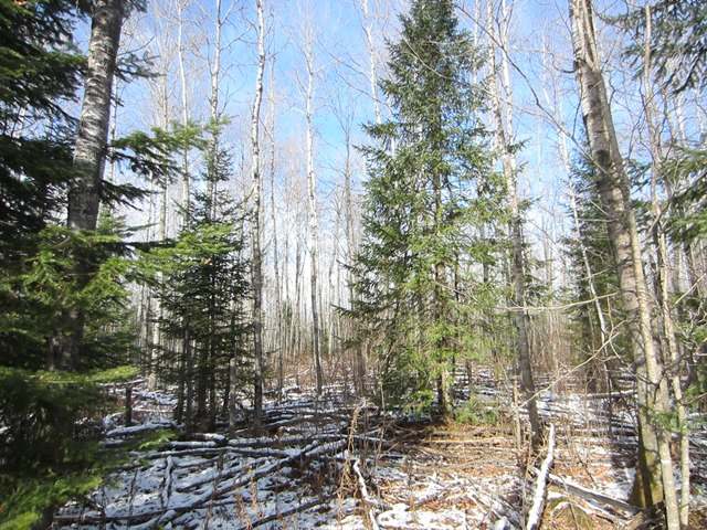 Off Off Omeara Road Butternut, WI 54514 - Photo 2 of 6 Gallery Image 2