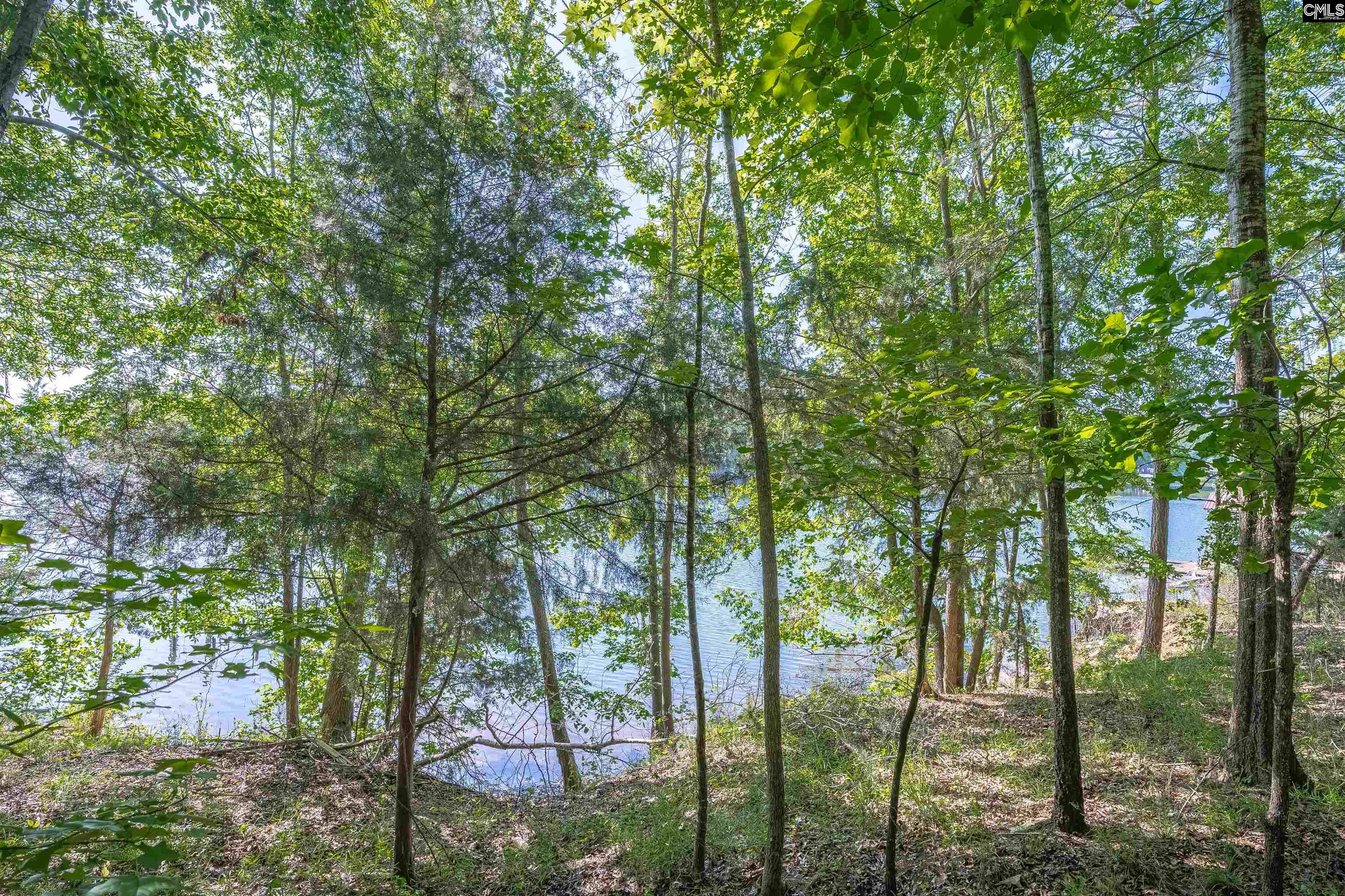 2022 Lake Road Ridgeway, SC 29130 - Photo 10 of 21