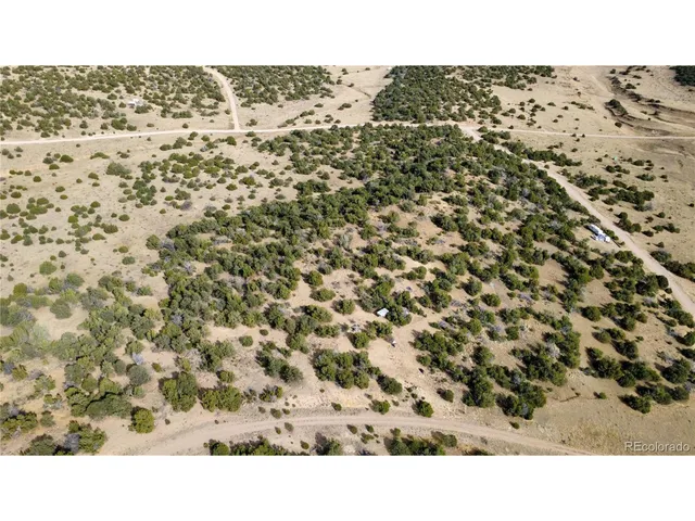 a black and white photo of a green field