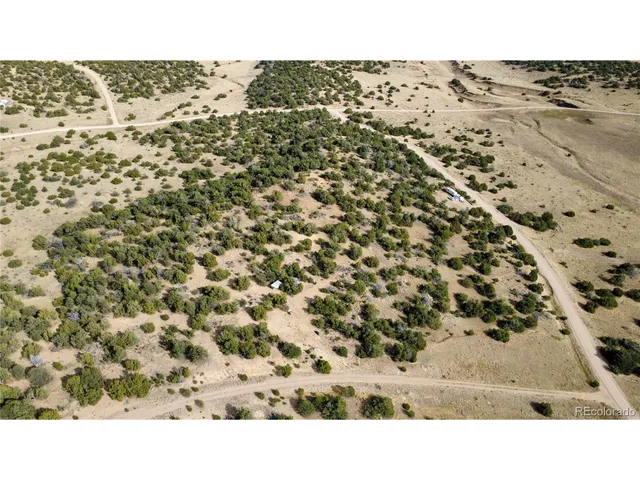 a black and white photo of a green