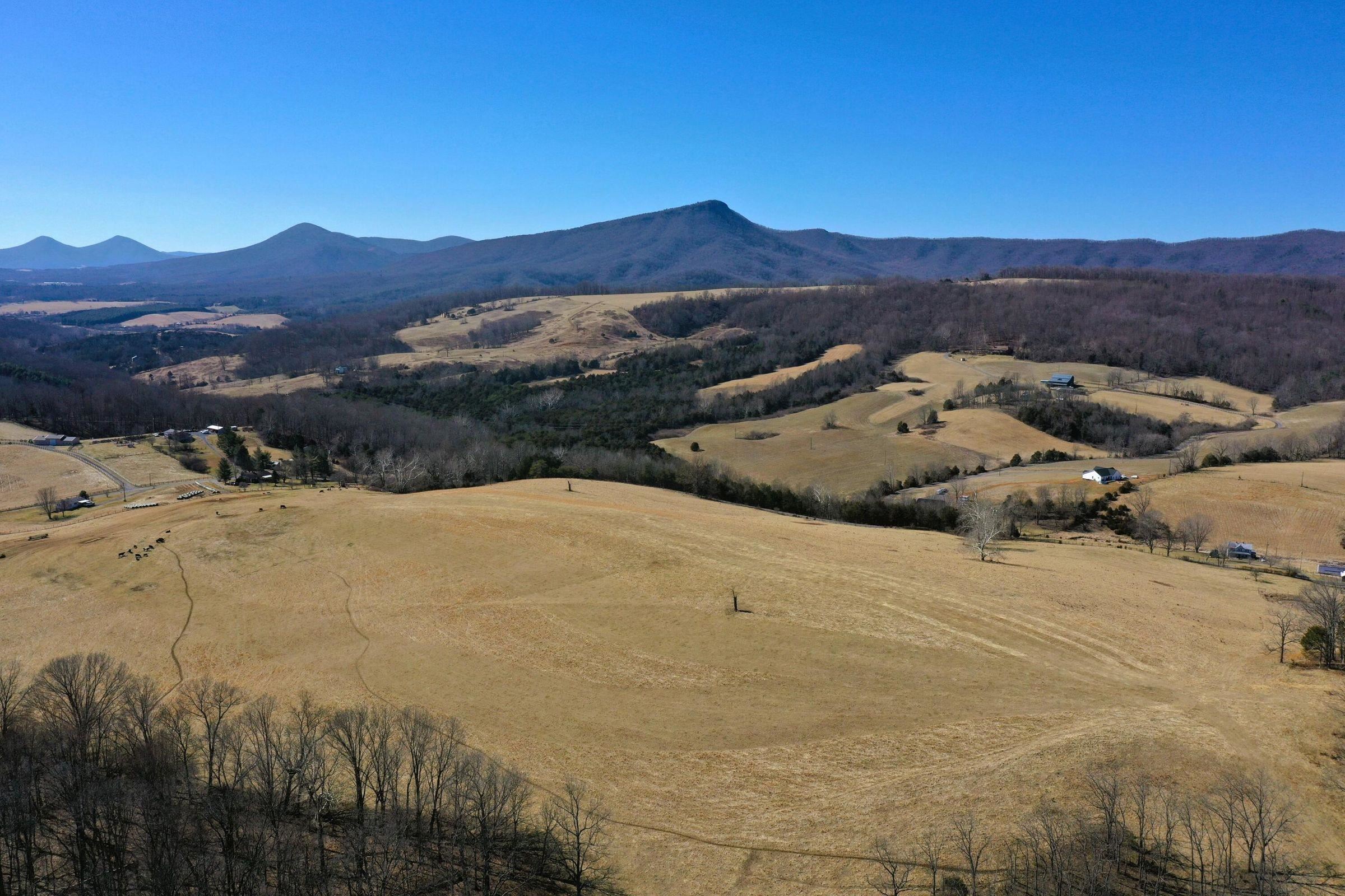 Dutch Hollow Road Raphine, VA 24472 - Photo 1 of 10 Gallery Image 1