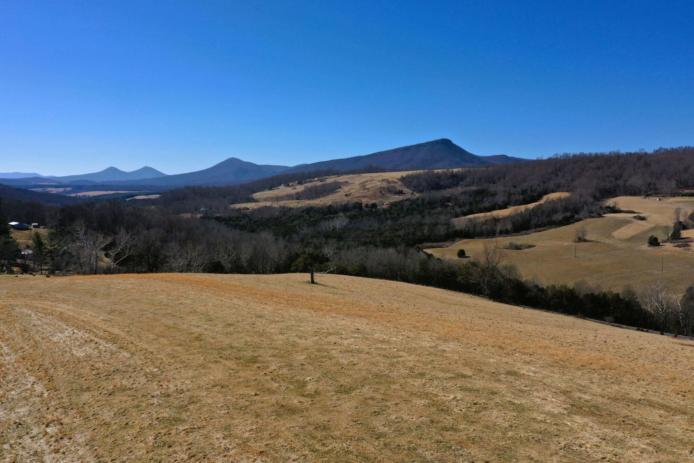 Dutch Hollow Road Raphine, VA 24472 - Photo 3 of 10 Gallery Image 3