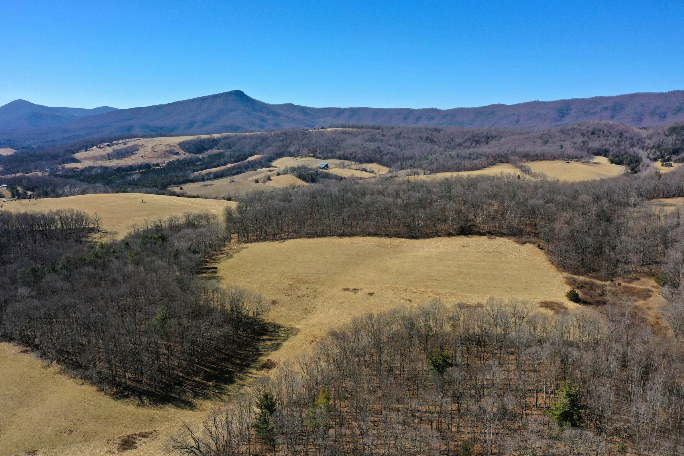 Dutch Hollow Road Raphine, VA 24472 - Photo 4 of 10 Gallery Image 4