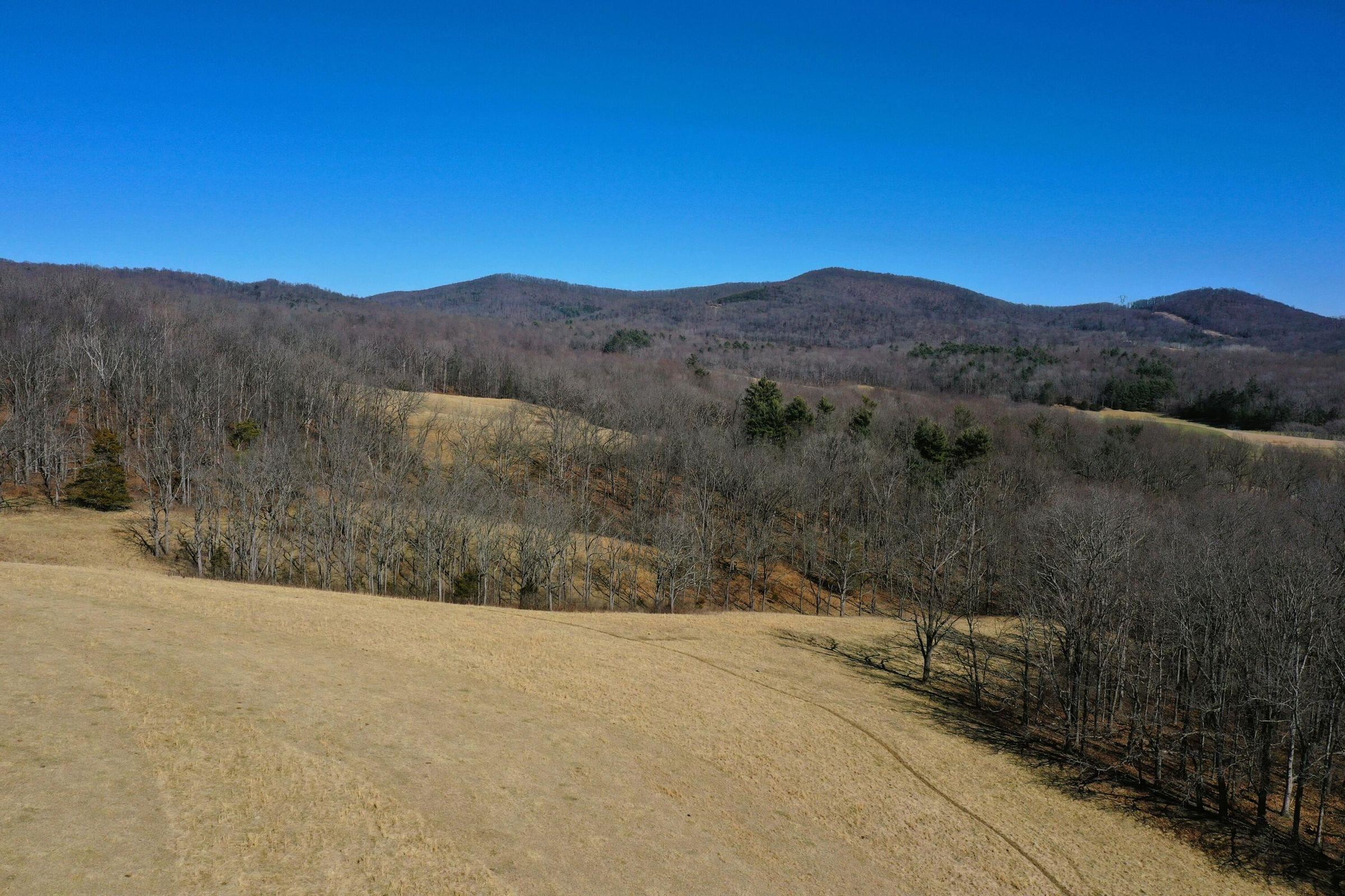 Dutch Hollow Road Raphine, VA 24472 - Photo 5 of 10 Gallery Image 5