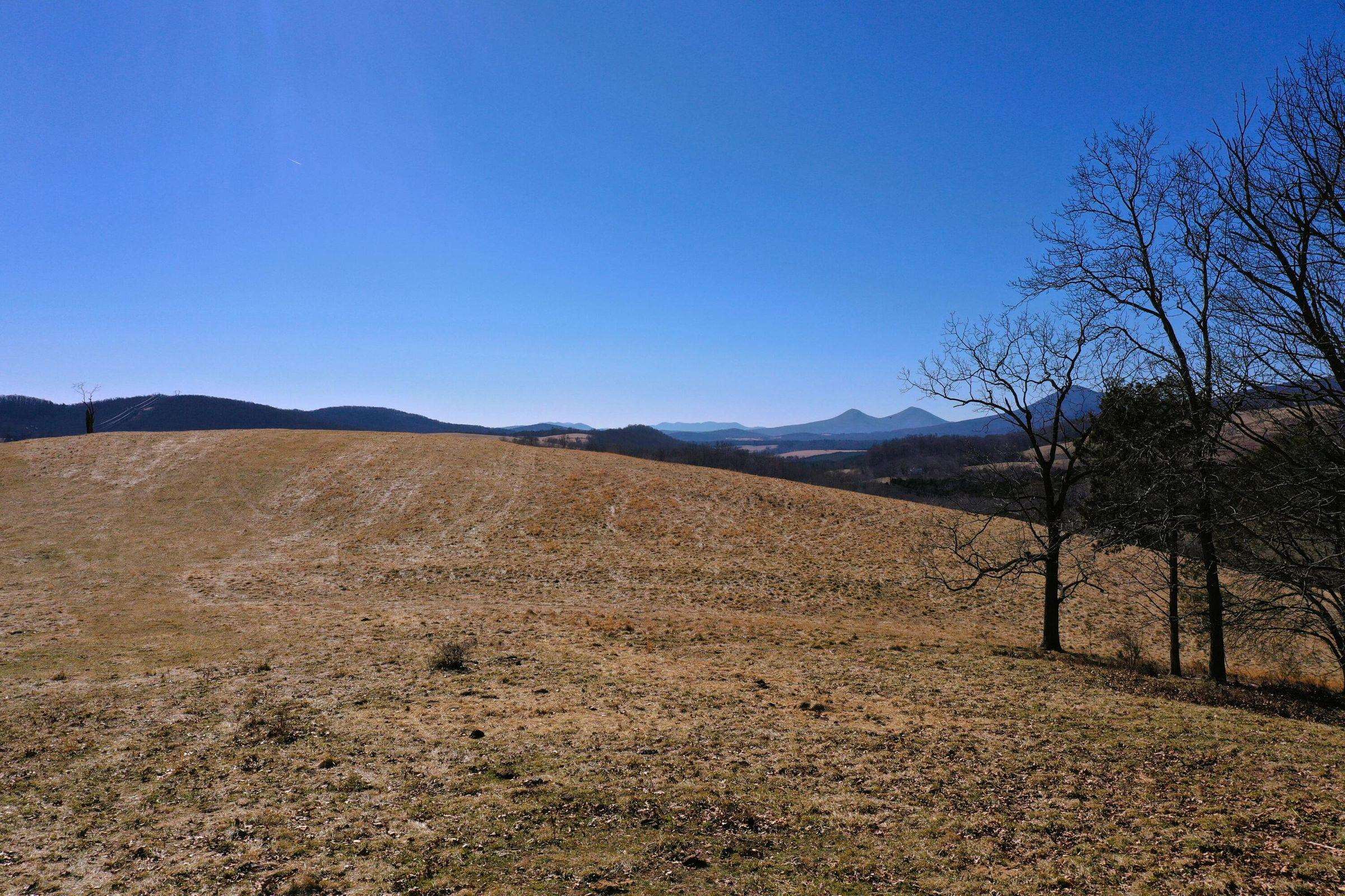 Dutch Hollow Road Raphine, VA 24472 - Photo 6 of 10 Gallery Image 6