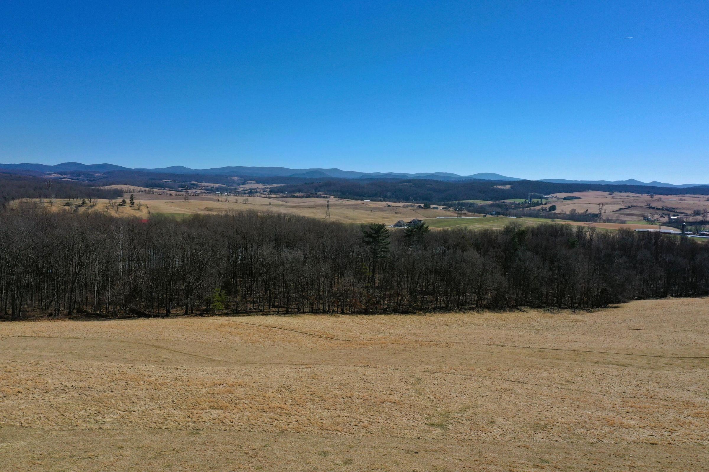 Dutch Hollow Road Raphine, VA 24472 - Photo 7 of 10 Gallery Image 7