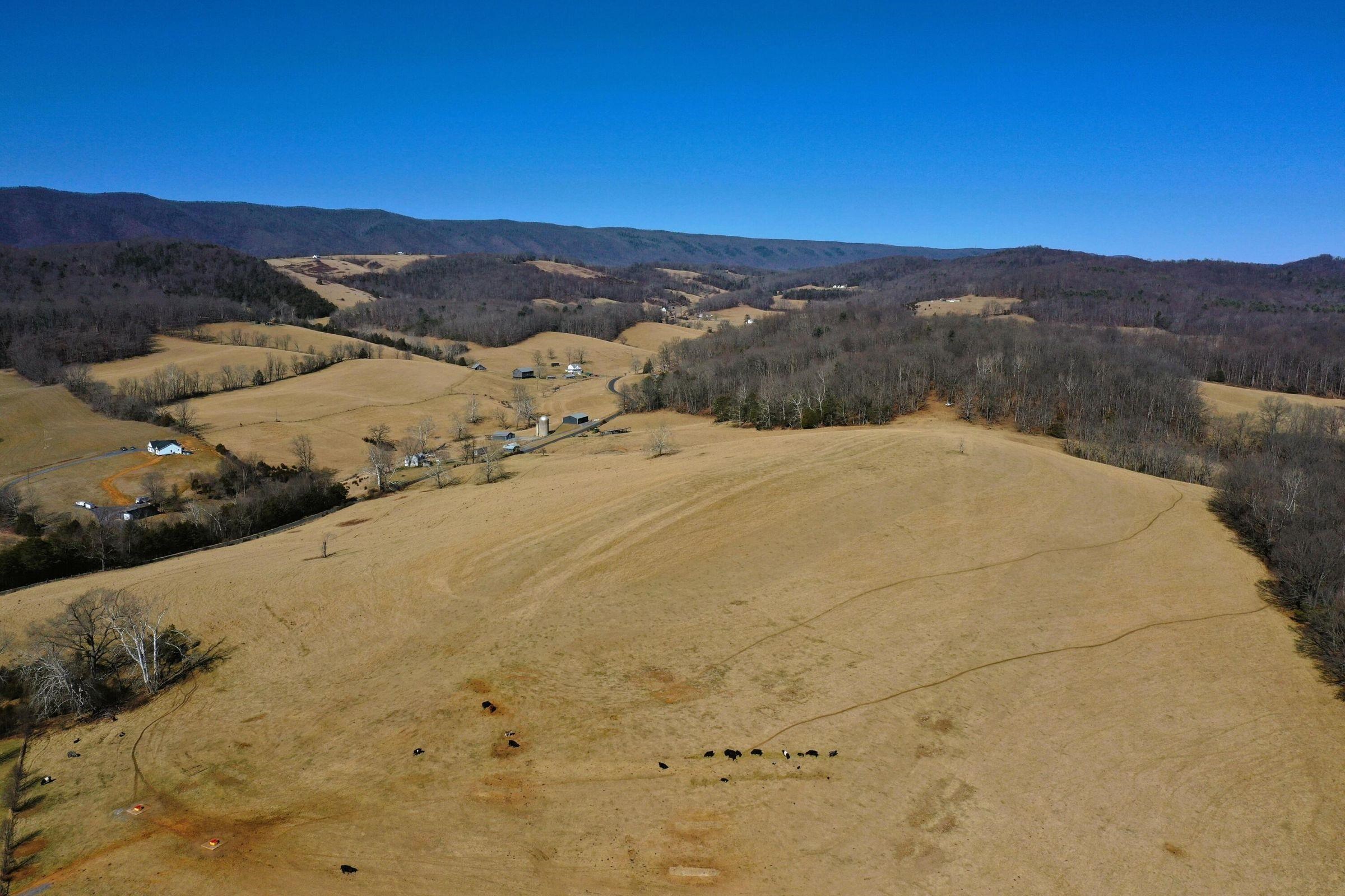 Dutch Hollow Road Raphine, VA 24472 - Photo 10 of 10 Gallery Image 10