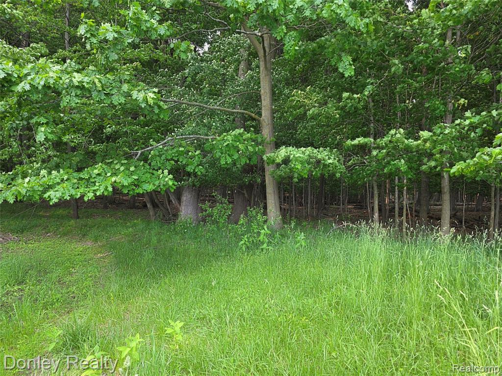 5900 Frenchline Road Marlette, MI 48453 - Photo 5 of 16