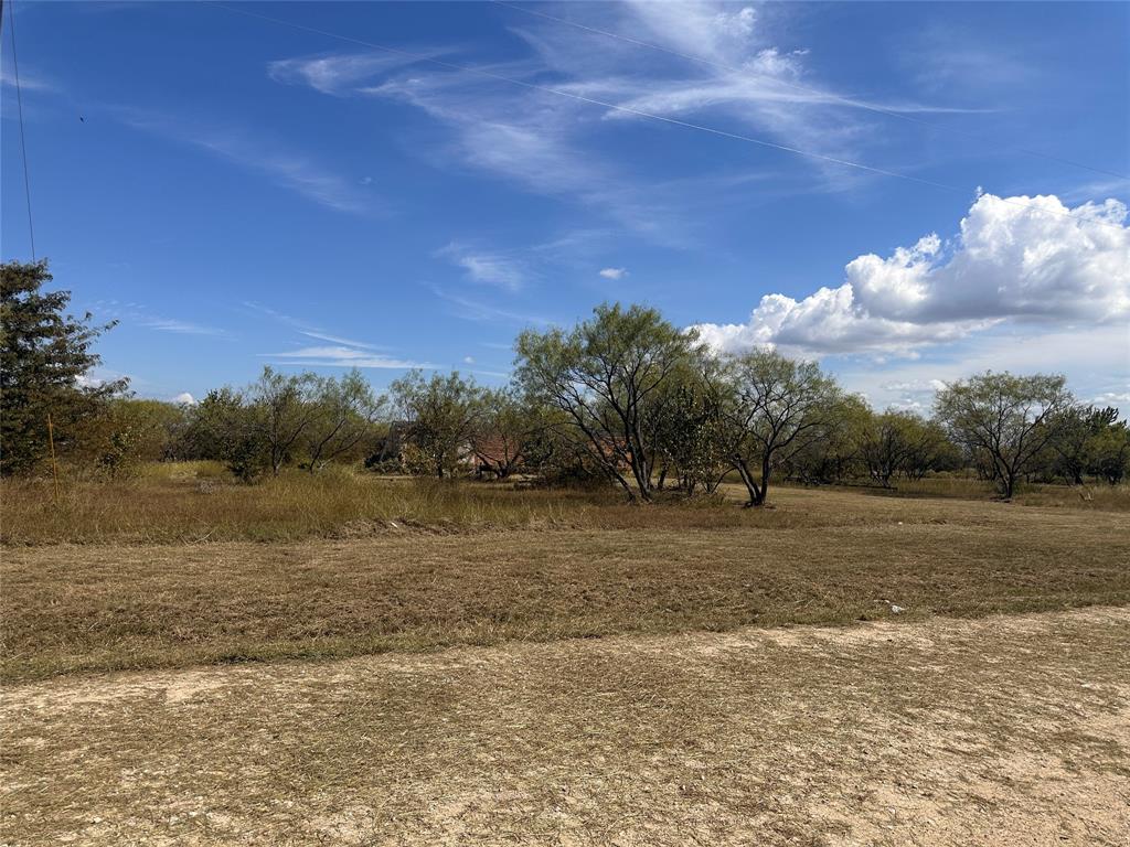 Lot 24 Baron Acres Road Wortham, TX 76693 - Photo 9 of 9 a view of a field with trees in background