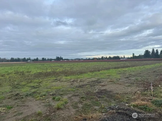 a view of a large body of water with lots of trees in it