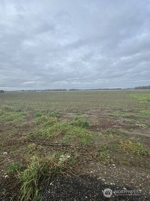 1420 Birch Bay Lynden Road Ferndale, WA 98248 - Photo 5 of 5 a view of an ocean