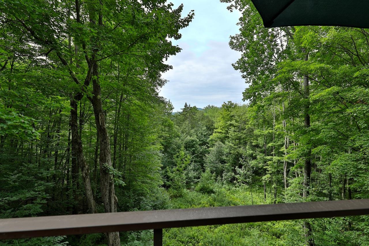 966 Salt Ash Road, Unit 324 Plymouth, VT 05056 - Photo 18 of 35 Gallery Image 18