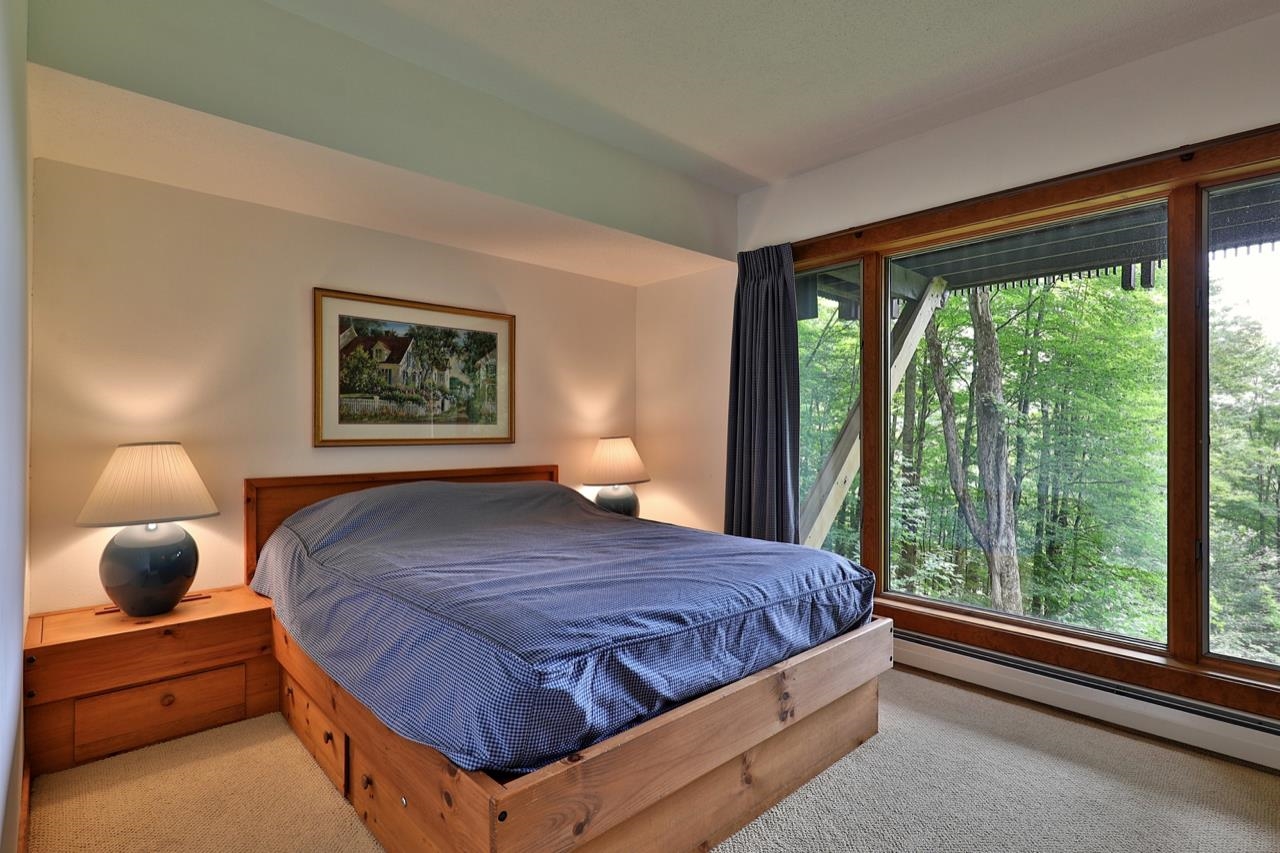 966 Salt Ash Road, Unit 324 Plymouth, VT 05056 - Photo 23 of 35 Gallery Image 23