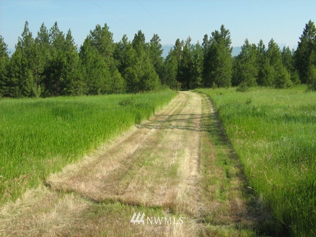 481 Hidden Springs Road Cle Elum, WA 98922 - Photo 2 of 22 Gallery Image 2