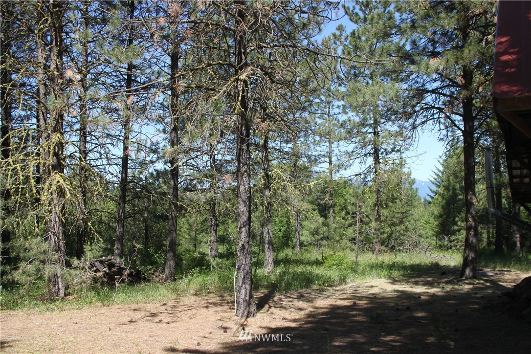 481 Hidden Springs Road Cle Elum, WA 98922 - Photo 14 of 22 Gallery Image 14
