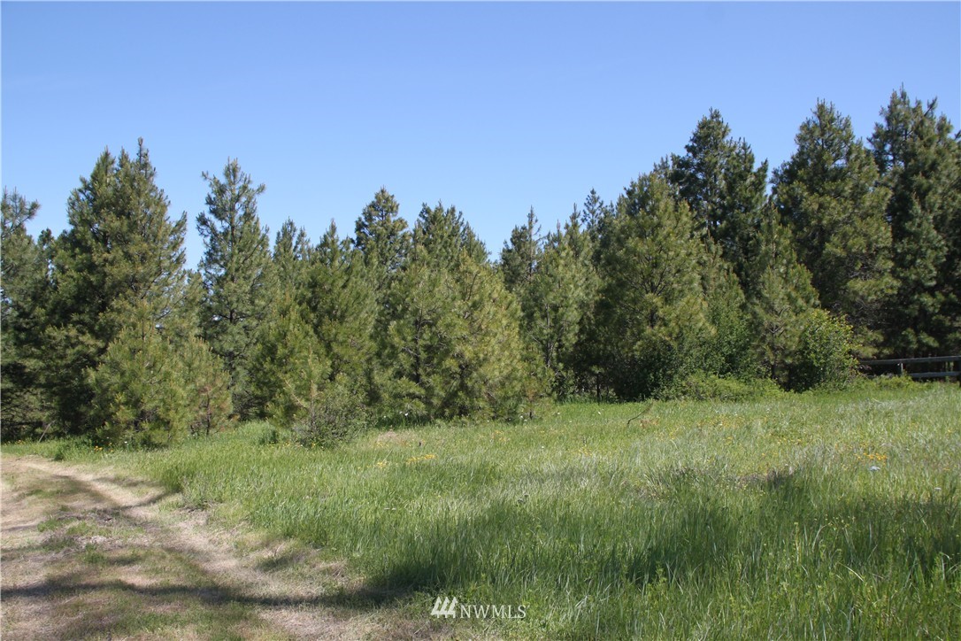 481 Hidden Springs Road Cle Elum, WA 98922 - Photo 17 of 22 Gallery Image 17