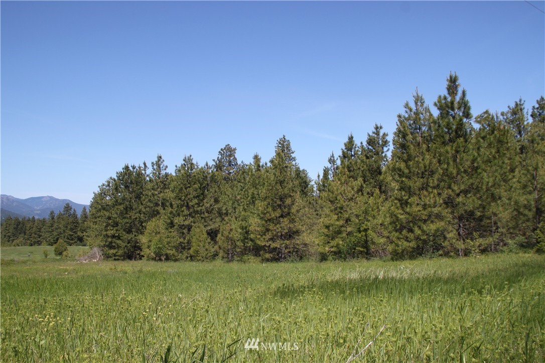 481 Hidden Springs Road Cle Elum, WA 98922 - Photo 18 of 22 Gallery Image 18