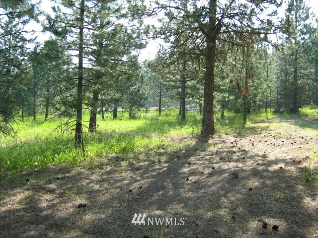 481 Hidden Springs Road Cle Elum, WA 98922 - Photo 7 of 22 Gallery Image 7