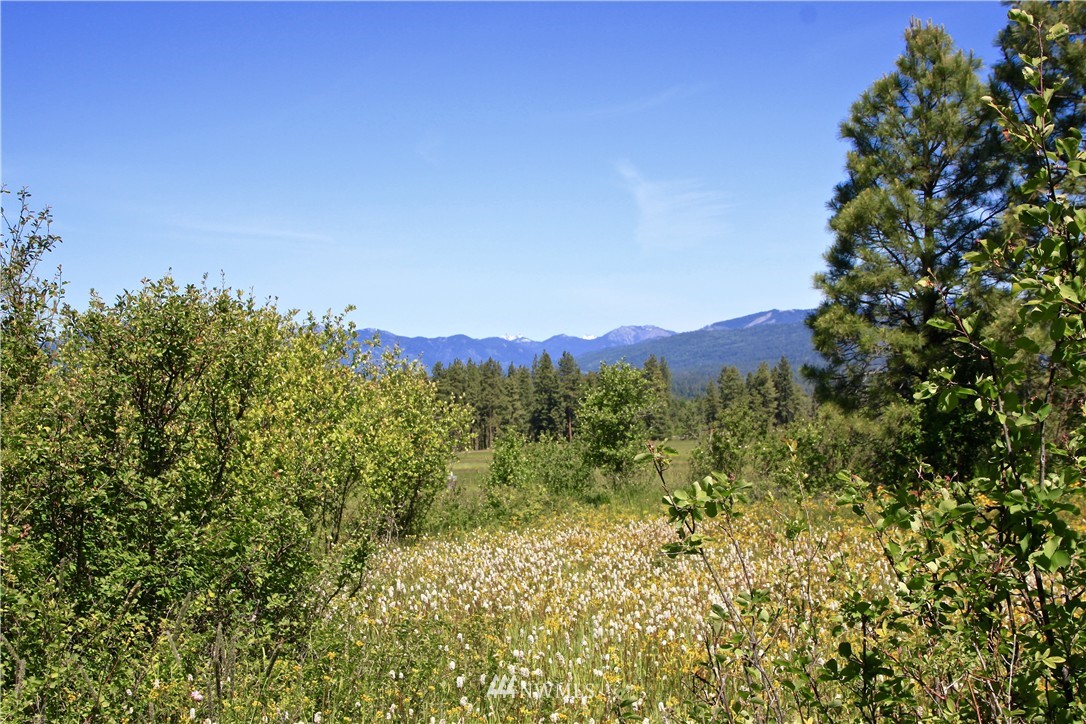 481 Hidden Springs Road Cle Elum, WA 98922 - Photo 8 of 22 Gallery Image 8