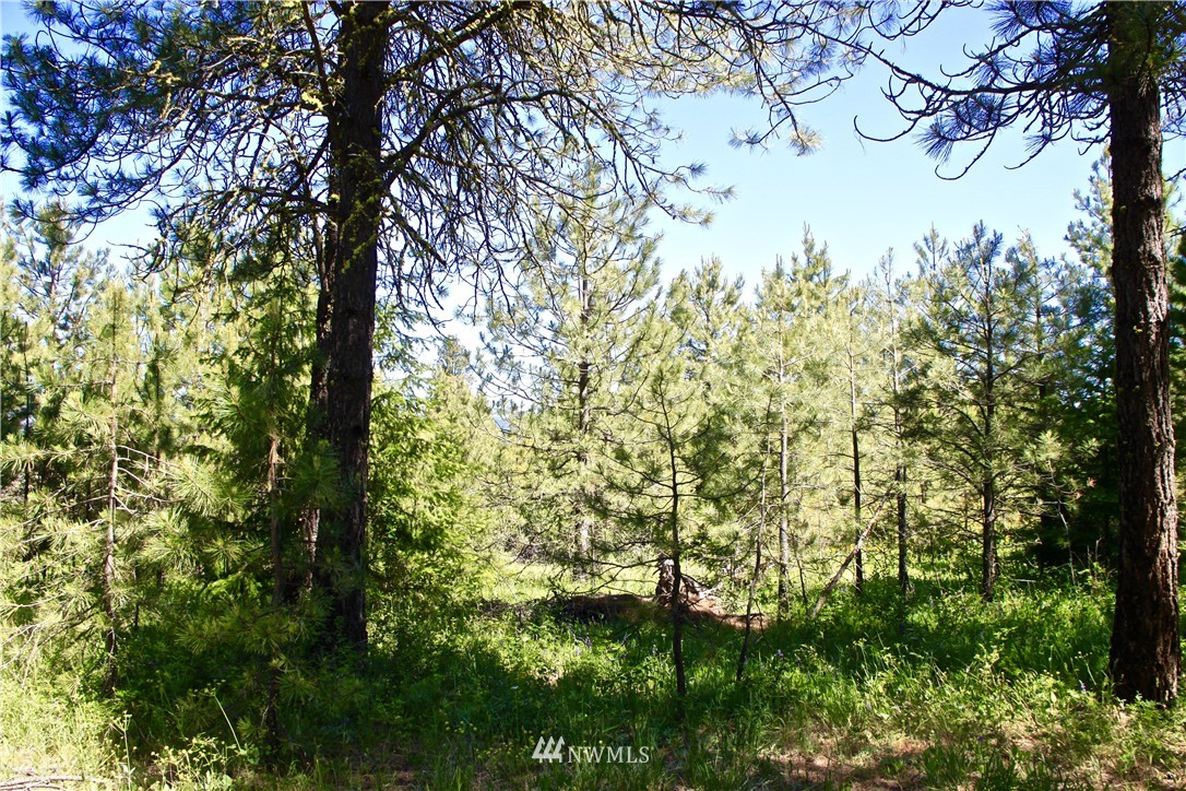 481 Hidden Springs Road Cle Elum, WA 98922 - Photo 10 of 22 Gallery Image 10