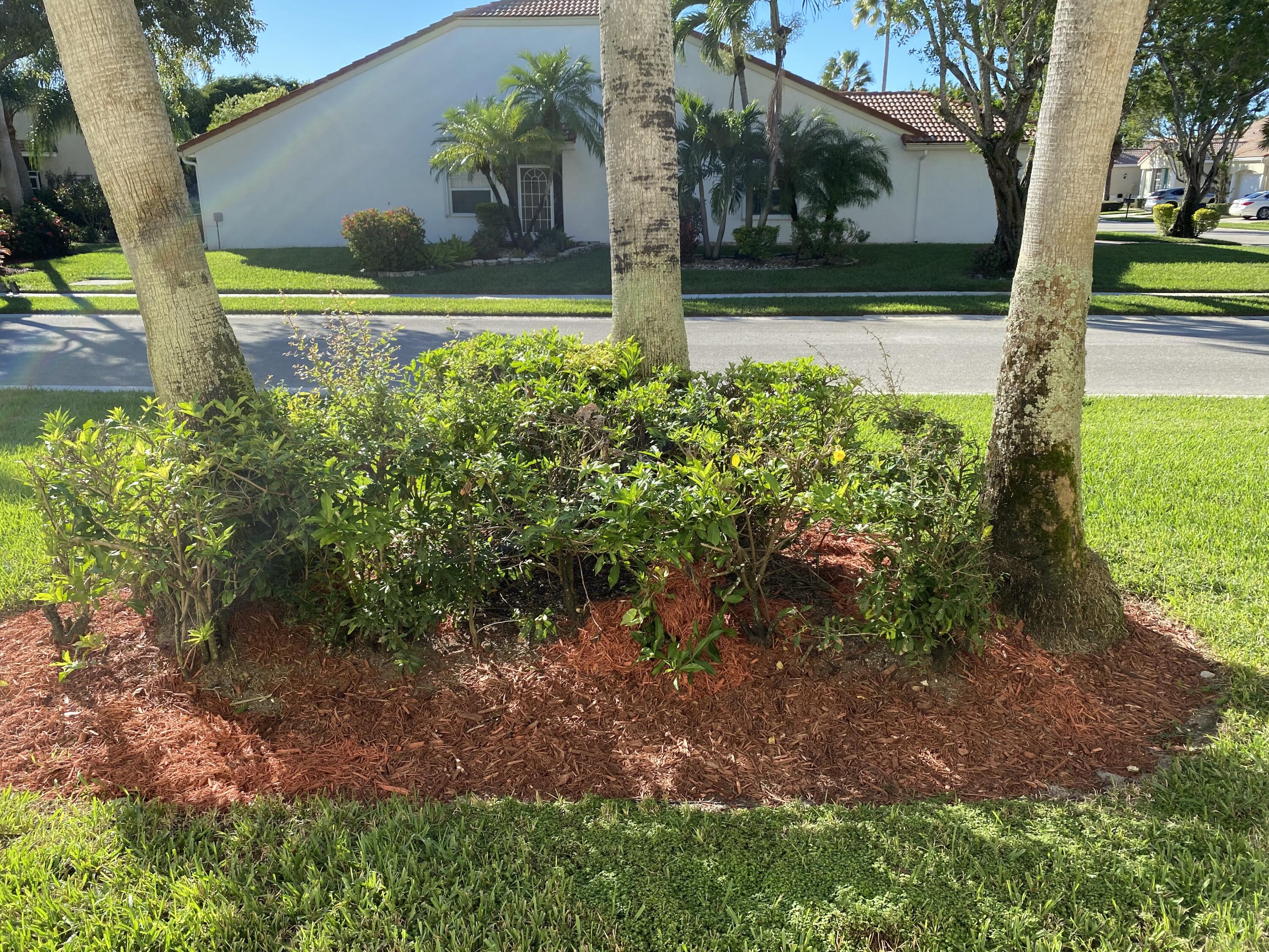 6068 Caladium Road Delray Beach, FL 33484 - Photo 4 of 29 LANDSCAPING