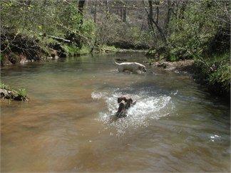 0 Mt Pleasant Road Boydton, VA 23924 - Photo 1 of 11 Stream
