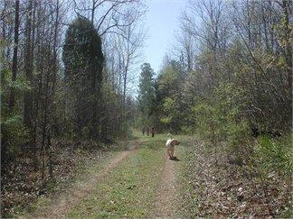 0 Mt Pleasant Road Boydton, VA 23924 - Photo 11 of 11 chase city 7