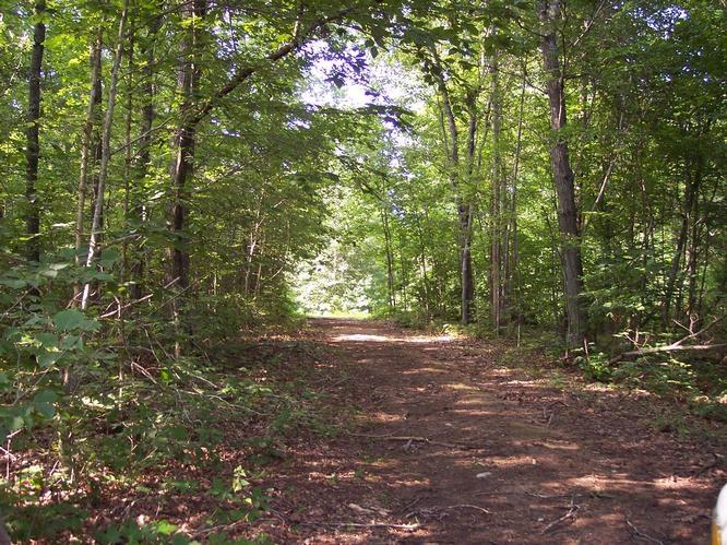 0 Mt Pleasant Road Boydton, VA 23924 - Photo 2 of 11 chase city 14